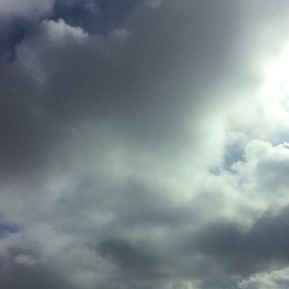 Meet your Posher, Harry - Picture 1 of 1